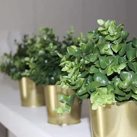 Casa Di Mamma Бари